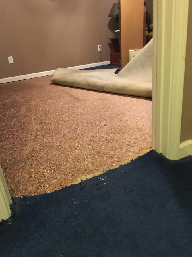 Carpet pad removal revealing water damage during Drying & Dehumidification in Hockinson