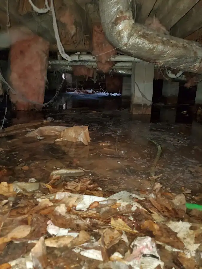 Crawl space flood assessment for Leak Detection & Repair in Hockinson